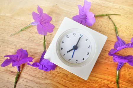 beautiful purple flowers and clock, vintage style. pastel filter