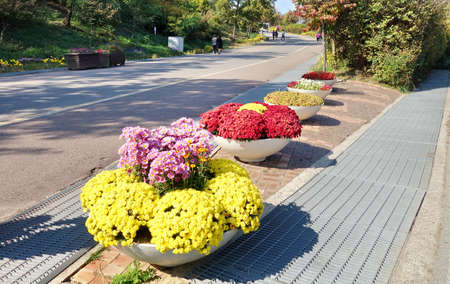 decorated flowers on street sideの写真素材
