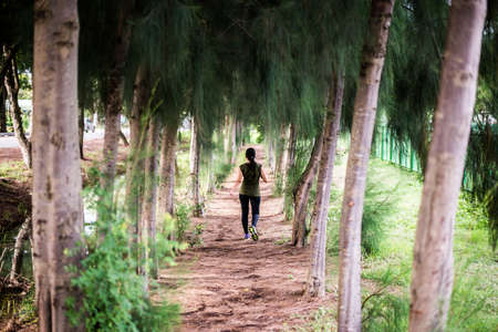 Trail runner woman running at forestの写真素材