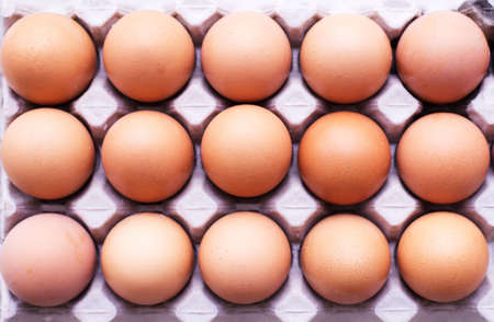 Closeup of raw chicken eggs in egg box or carton