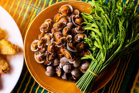 Scallops or cockle in the dishの写真素材