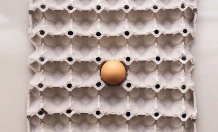 Closeup of raw chicken eggs in egg box or cartonの写真素材