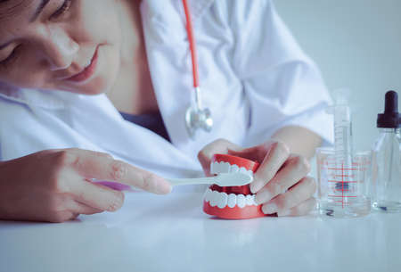 Dentist diagnose  teeth model dentures with toothbrush,dental hygienist checkup concept,Selective focus dentureの写真素材