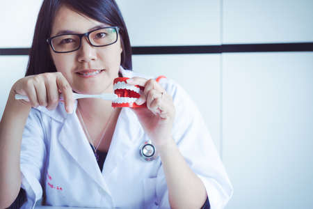 Dentist diagnose plastic teeth models with toothbrush,Concept of dental checking,Selective focus dentureの写真素材
