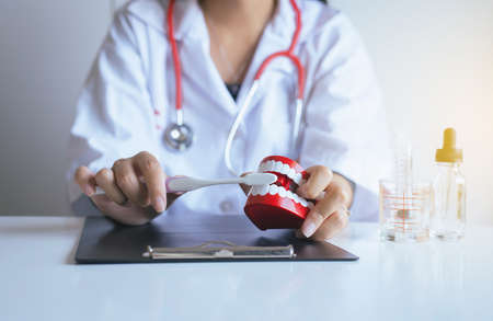 Dentist diagnose  teeth model dentures with toothbrush,dental hygienist checkup concept,Selective focus dentureの写真素材