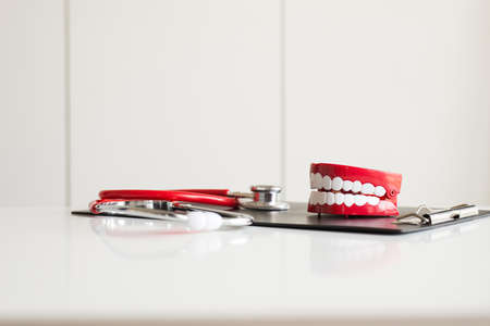 Dentist diagnose plastic teeth models with stethoscope,Concept of dental checkingの写真素材