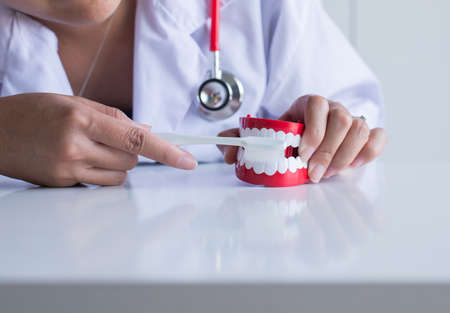 Dentist diagnose plastic teeth models with toothbrush,Concept of dental checking