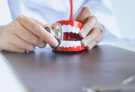Dentist diagnose plastic teeth models with stethoscope,Concept of dental checking,Close upの写真素材