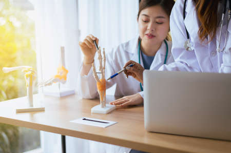 Doctor asian woman sitting and working on desk together using skeleton hand mockup at hospital officeの写真素材