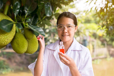 Asian woman researcher using syringe for examining plant and study information data in the garden