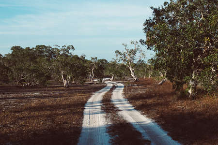 Tyre track on dirt sand or mud on sunnet time at nature,Off road trackの写真素材