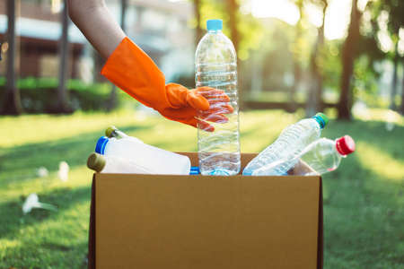 Volunteer woman hand wearing glove and keep plastic bottle into paper box at public park,Dispose recycle and waste management concept,Environmentally friendlyの写真素材