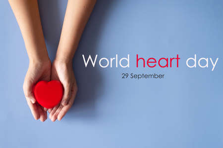 Hands people holding red heart model on blue background,World heart day conceptの写真素材