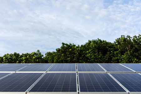 Solar cell farms set in the midst of nature Generate household electricity as clean energy. Solar...