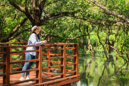 Young asian woman travel in the middle of nature with sunlight. Traveller blogger in mangrove forest. Rest on vacation holiday weekend. Beautiful female with hat and blue shirt walking in forestの写真素材