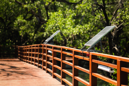 Ecosystem in the forest. Solar Cell in the nature. Conserving the environment and using clean energy from nature. World Earth Day concept.の写真素材