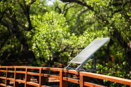 Ecosystem in the forest. Solar Cell in the nature. Conserving the environment and using clean energy...
