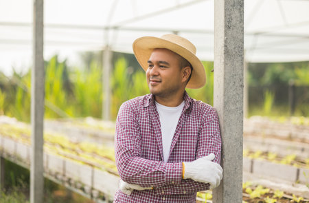 An Asian farmer stands in front of a vegetable garden with fresh vegetables green oak plot. Agriculture until the vegetable harvesting season in the greenhouseの写真素材