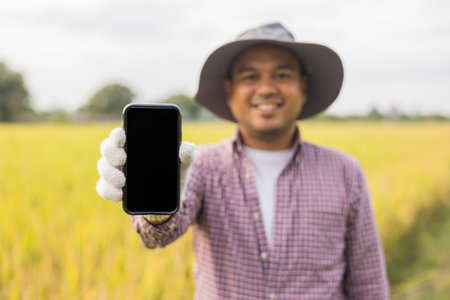 Young asian farmer standing alone at paddy field looking forward holding smartphone. The man checking growth quality of seedling at rice paddy field. Asian farmer in scott shirt workingの写真素材