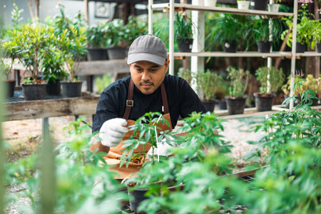 Happy gardener man in gloves and apron plants flowers in greenhouse. Florists man working gardening in the backyard. Flower care harvesting. Planting in pot with dirt or soilの写真素材