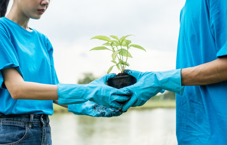 Volunteering Protection of environment and nature ecology concept. Group of volunteer plant a tree Plant trees water them till the soil. Nature for sustainable environment.Global warming concept.の写真素材