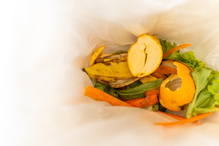 Ecology compost supply Kitchen waste recycling composter environmentally friendly. Fruit peel egg shell and vegetables reduce wasteの写真素材