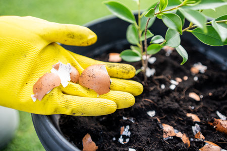 Close up hands The young man throws leftover fruit peel egg shell and vegetables reduce waste....