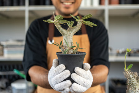 Cactus care harvesting. Farmer Cactus man working in the greenhouse backyard. Happy gardener man in gloves and apron in greenhouse checking of defect. Planting in pot with dirt or soil.の写真素材