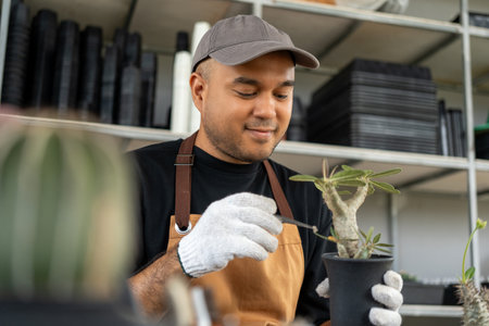 Cactus care harvesting. Farmer Cactus man working in the greenhouse backyard. Happy gardener man in gloves and apron in greenhouse checking of defect. Planting in pot with dirt or soil.の写真素材