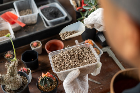 Cactus care harvesting. Farmer Cactus man working in the greenhouse backyard. Happy gardener man in gloves and apron in greenhouse checking of defect. Planting in pot with dirt or soil.の写真素材