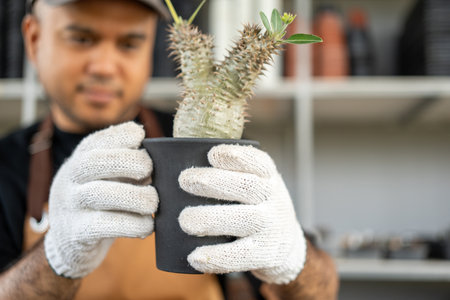 Cactus care harvesting. Farmer Cactus man working in the greenhouse backyard. Happy gardener man in gloves and apron in greenhouse checking of defect. Planting in pot with dirt or soil.の写真素材