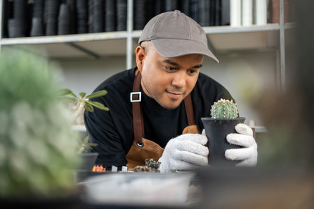 Cactus care harvesting. Farmer Cactus man working in the greenhouse backyard. Happy gardener man in gloves and apron in greenhouse checking of defect. Planting in pot with dirt or soil.の写真素材