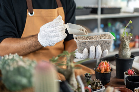 Cactus care harvesting. Farmer Cactus man working in the greenhouse backyard. Happy gardener man in gloves and apron in greenhouse checking of defect. Planting in pot with dirt or soil.の写真素材