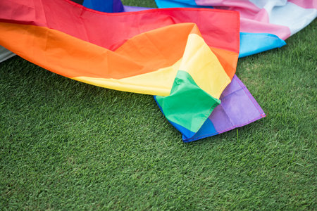 Celebrate in pride month festival. Pride movement transgender with LGBTQ rainbow flag for freedom....