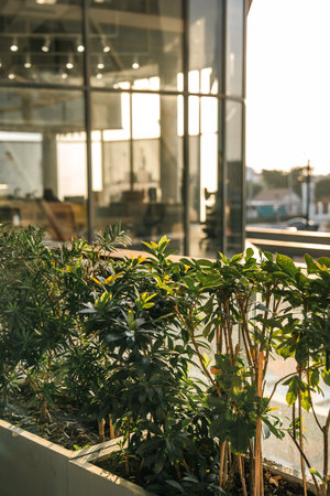 Eco-friendly office building with tree garden reduces CO2 in the modern city, sustainable...
