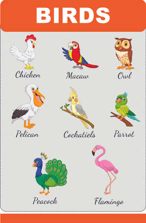 A SET OF BIRDSのイラスト素材