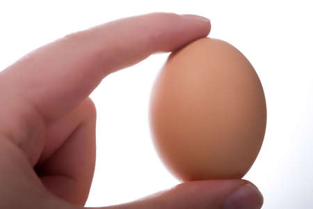 Just a brown egg. Handholded, white background, not fully isolated!の写真素材