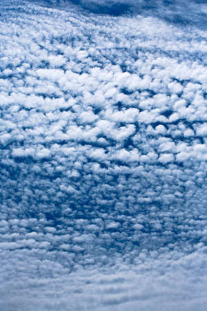 Sky full of Altocumulus clouds verticalの写真素材
