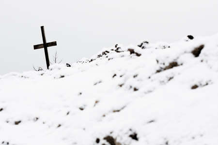 At peaceの写真素材