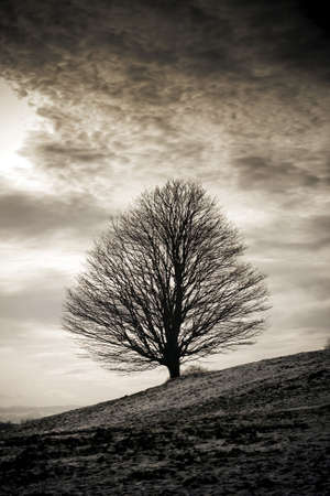 Weathering the storm_2