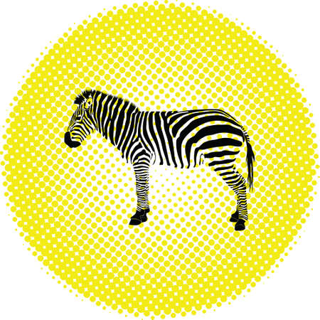 zebraのイラスト素材
