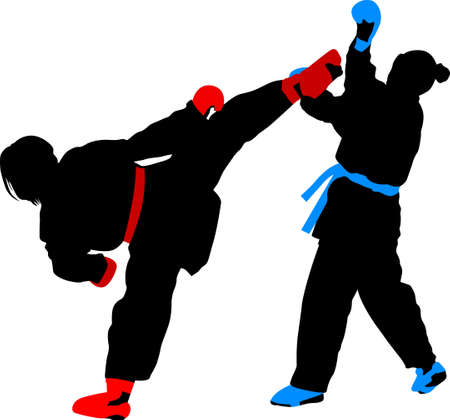 girls fight in karate silhouette vector colorのイラスト素材