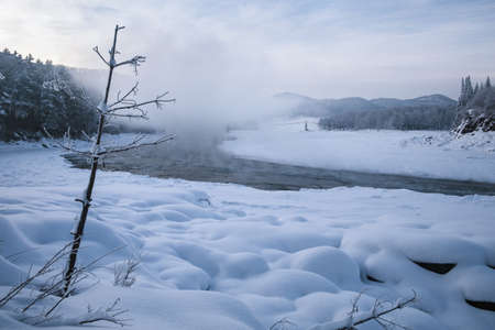 A tree on the snowy shore of a winter river from which steam rises and a suspension bridge. Altai, Siberia, Russiaの写真素材