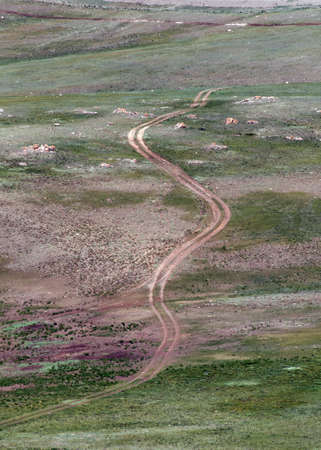 Top view of a winding road among green hills. Altai Republic, Russiaの写真素材