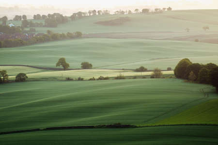 Morning rural landscape with agricultural fields in West Lothian, Scotland.の写真素材