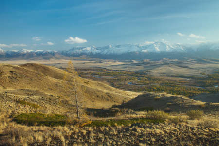 Autumn landscape with a river valley and along larch tree in the foreground and white snowy...