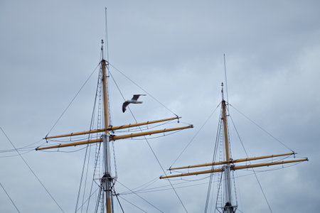 The masts of an old sailboat against the cloudy sky and a flying seagull. Glenlee, steel-hulled...