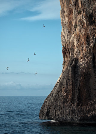 A large steep cliff on the sea and flying seagulls. Rocky coast near Cala Gonone, Sardinia, Italyの写真素材