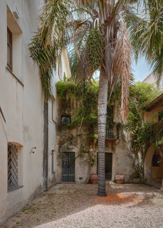 A small courtyard with a date palm tree with fruit on the ground in one of Europes ancient cities on a sunny summer day. Orosei, Sardinia, Italyの写真素材