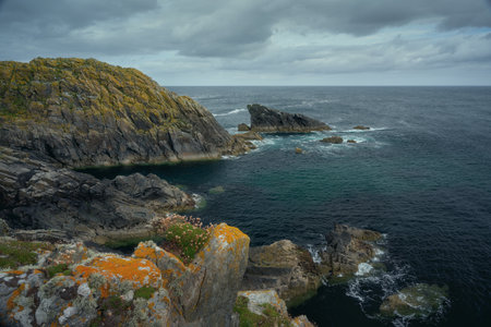 A rocky sea cove in the north of the Isle of Lewis. Moss and flowers on the rock in the foreground. Scotland, UKの写真素材